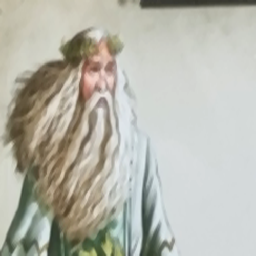Druid